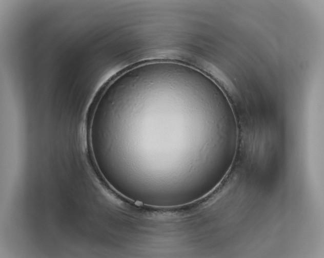 X0000112911079200908241201