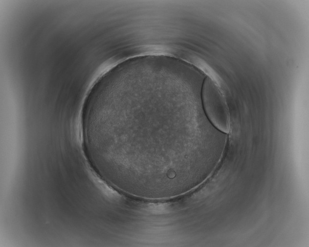 X0000112911080200908241201