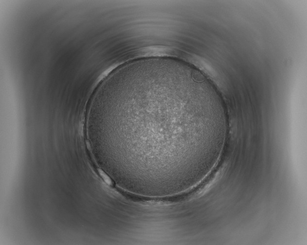 X0000112911081200908241201