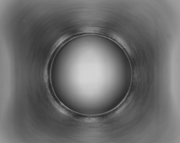 X0000112911082200908241201