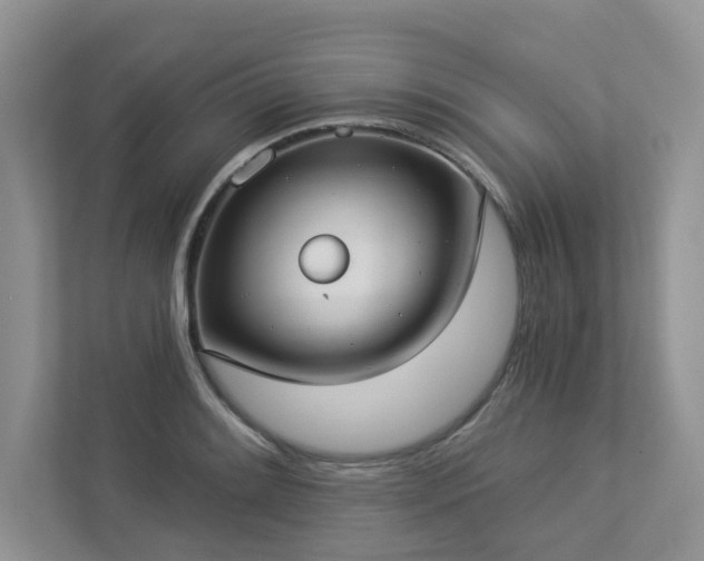 X0000112911084200908241201