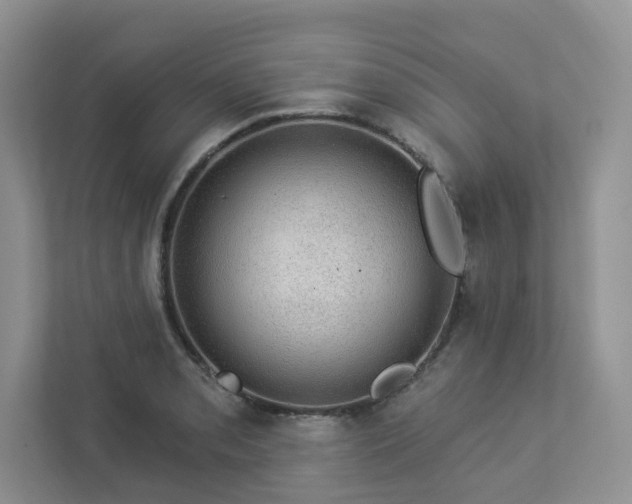 X0000112911085200908241201