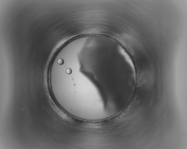 X0000112911086200908241201