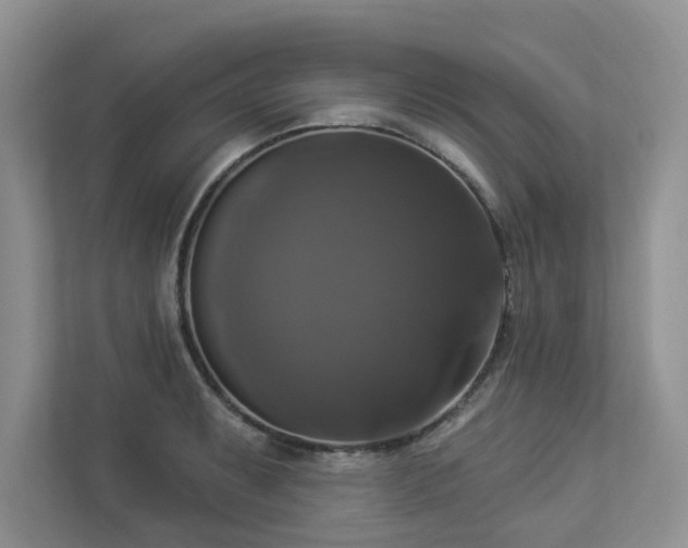 X0000112911087200908241201