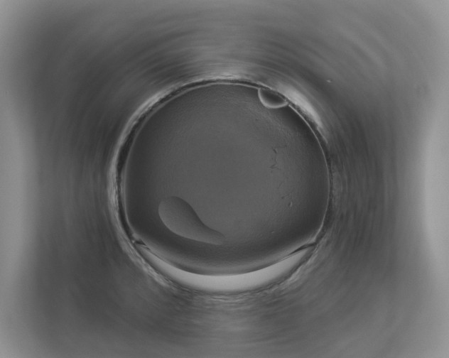 X0000112911088200908241201