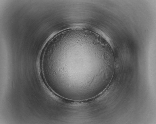 X0000112911091200908241201