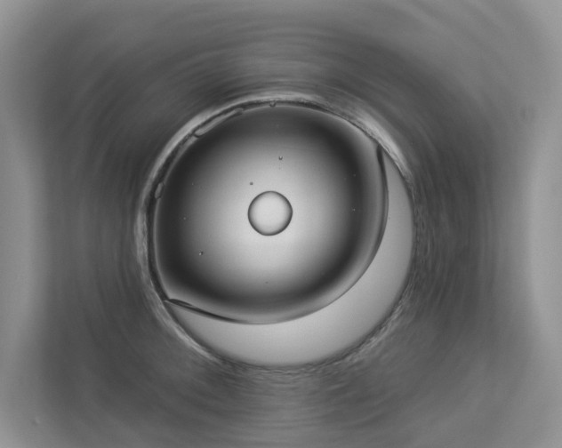 X0000112911092200908241201