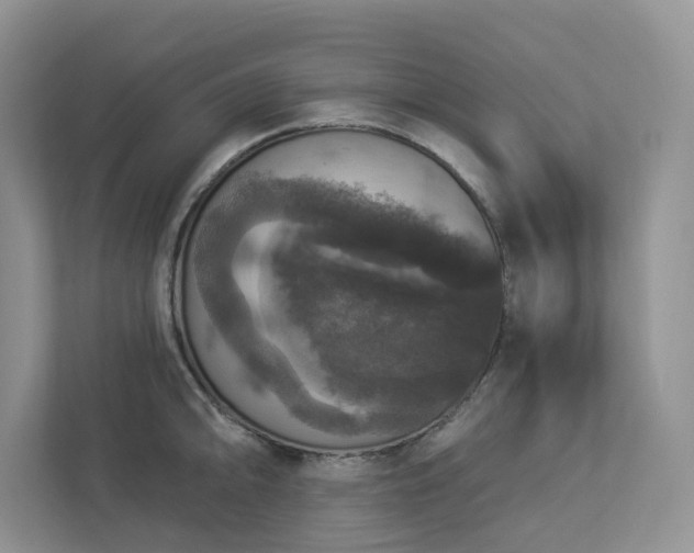 X0000112911094200908241201