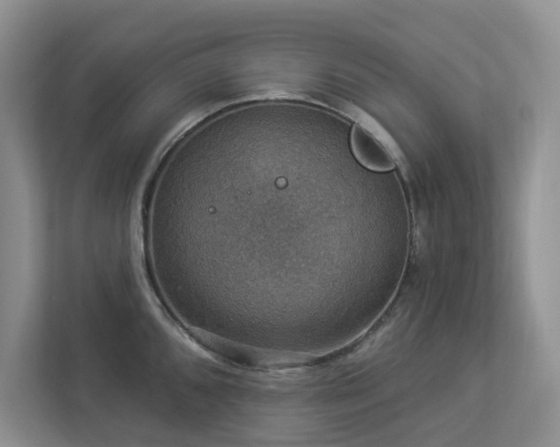 X0000112911096200908241201