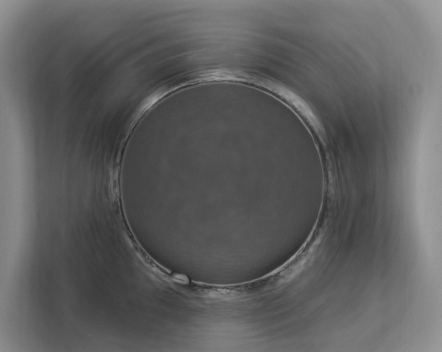 X0000112911097200908241201