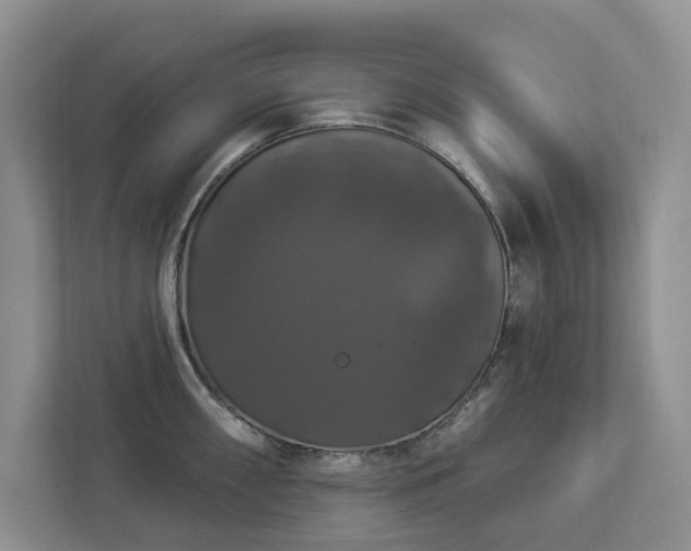 X0000112911098200908241201