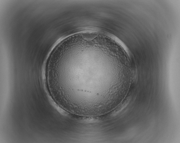 X0000112911099200908241201