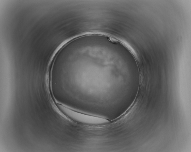 X0000112911100200908241201