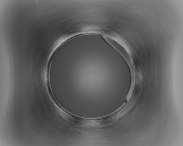 X0000112911101200908241201