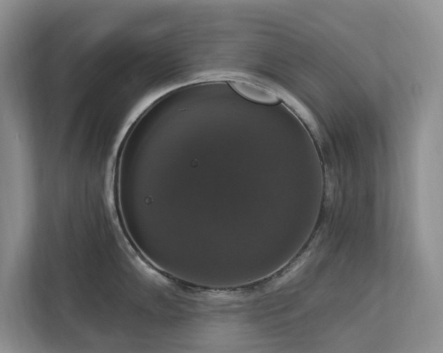 X0000112911102200908241201