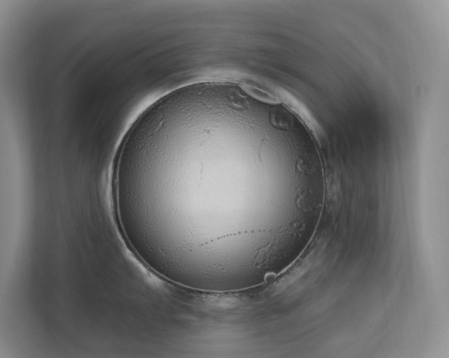 X0000112911103200908241201