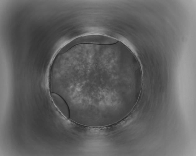 X0000112911104200908241201