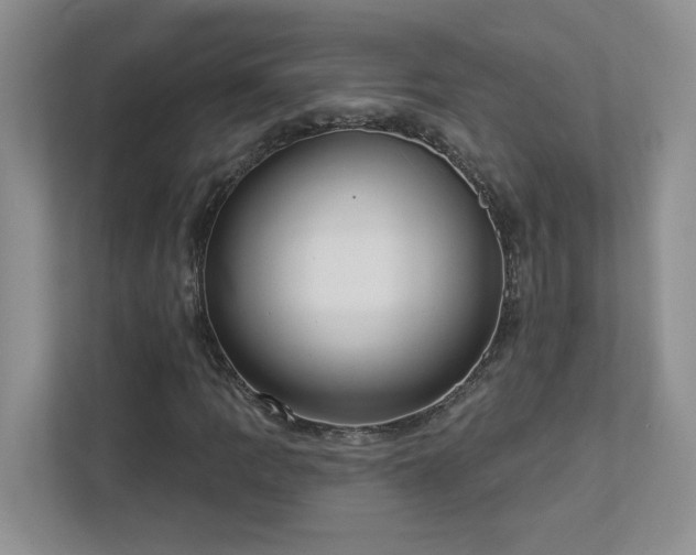 X0000112911109200908241200