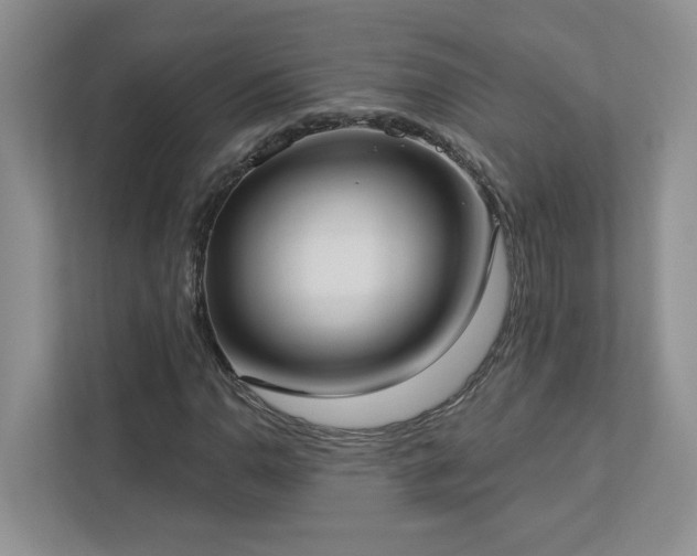 X0000112911110200908241200