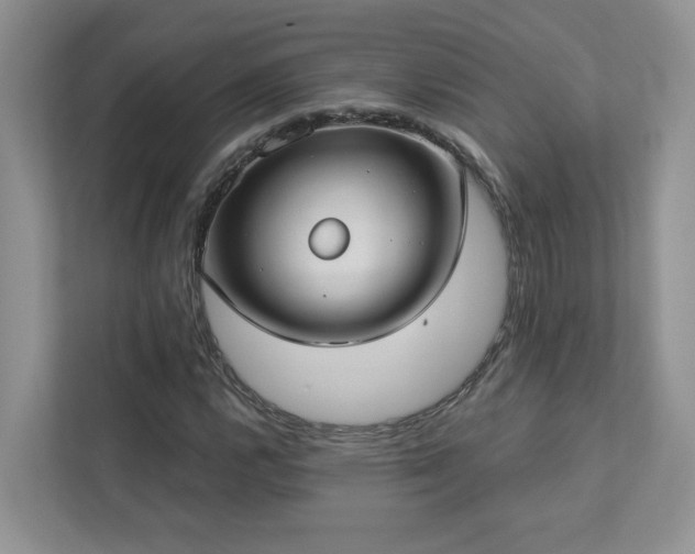 X0000112911112200908241200