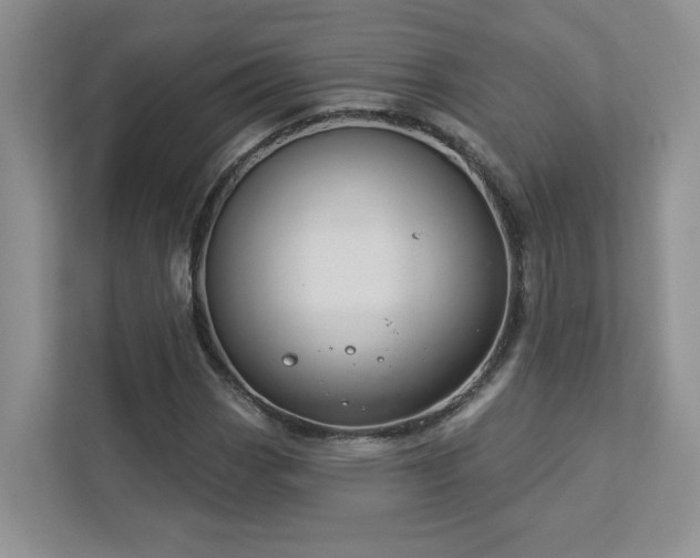 X0000112911113200908241200