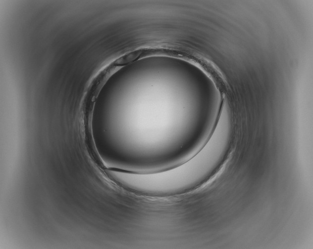 X0000112911114200908241200