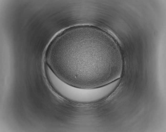 X0000112911124200908241200