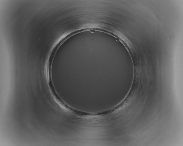 X0000112911127200908241200