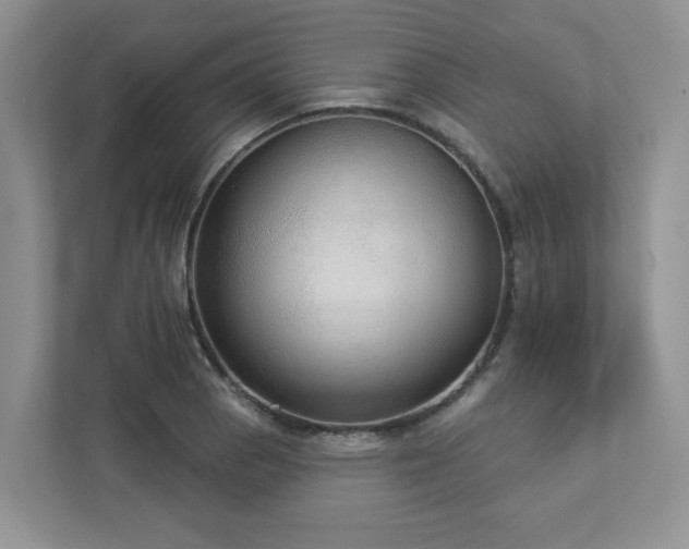 X0000112911129200908241200