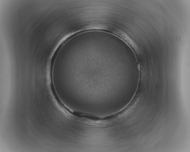 X0000112911132200908241200