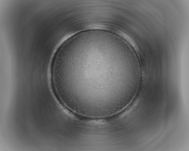 X0000112911133200908241200