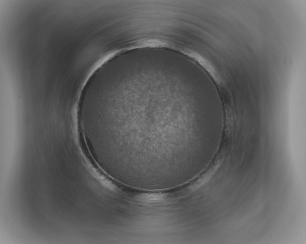 X0000112911134200908241200