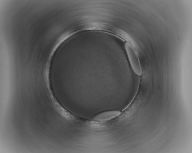 X0000112911138200908241200