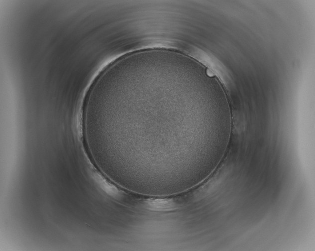 X0000112911140200908241200