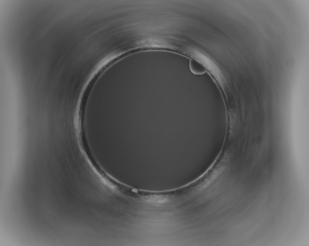 X0000112911141200908241200
