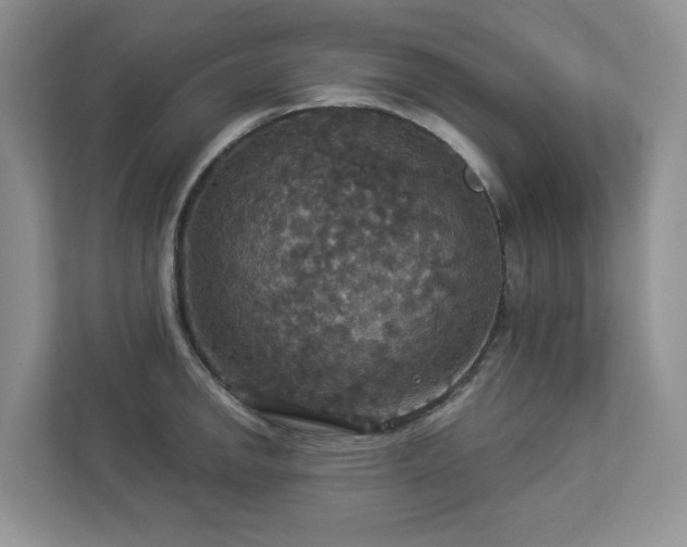 X0000112911142200908241200