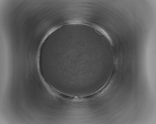 X0000112911146200908241201