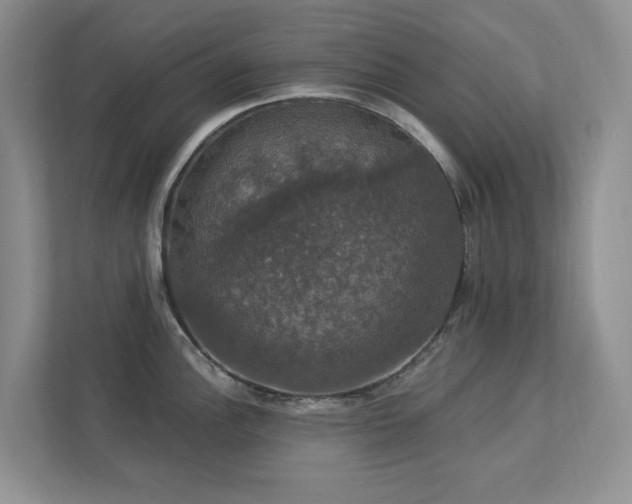 X0000112911148200908241201