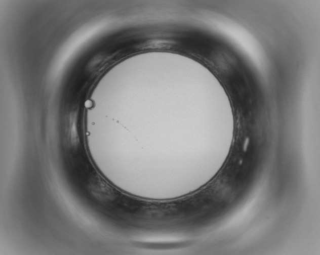 X0000112911150200908241201