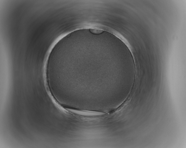 X0000112911152200908241201