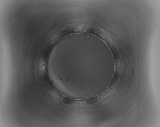 X0000112911154200908241200