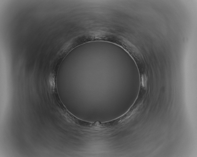 X0000112911155200908241200