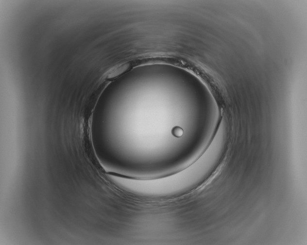 X0000112911161200908241200