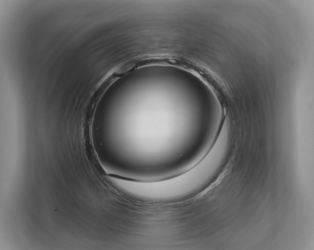 X0000112911162200908241200