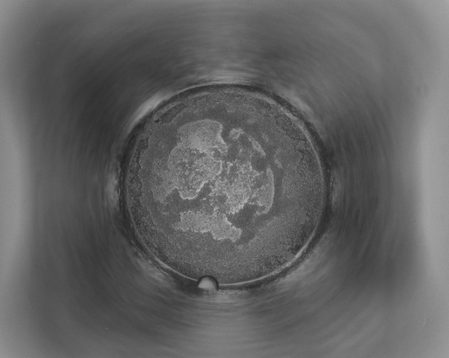 X0000112911163200908241200