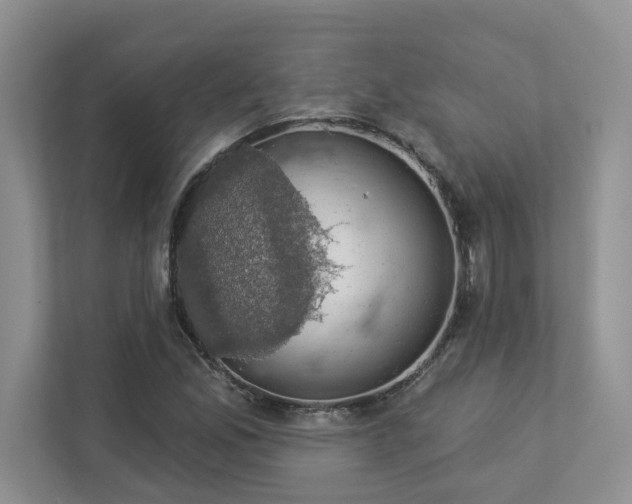 X0000112911165200908241200