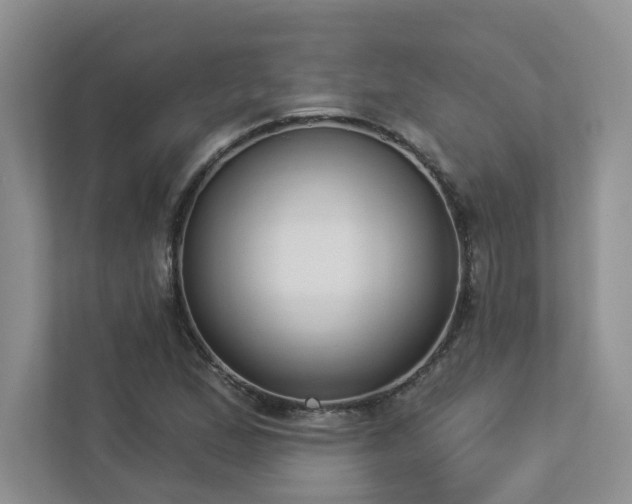 X0000112911167200908241200