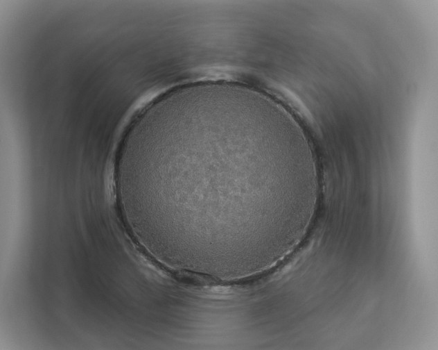 X0000112911172200908241200