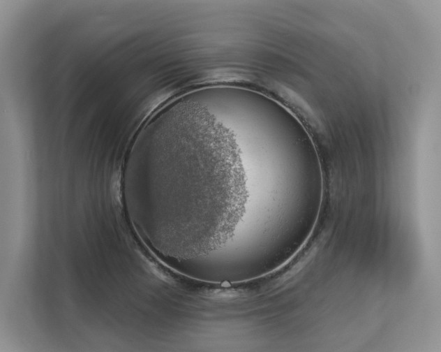 X0000112911177200908241200