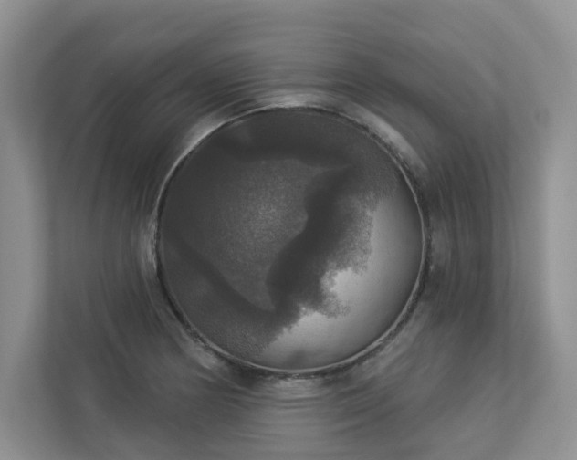 X0000112911178200908241200